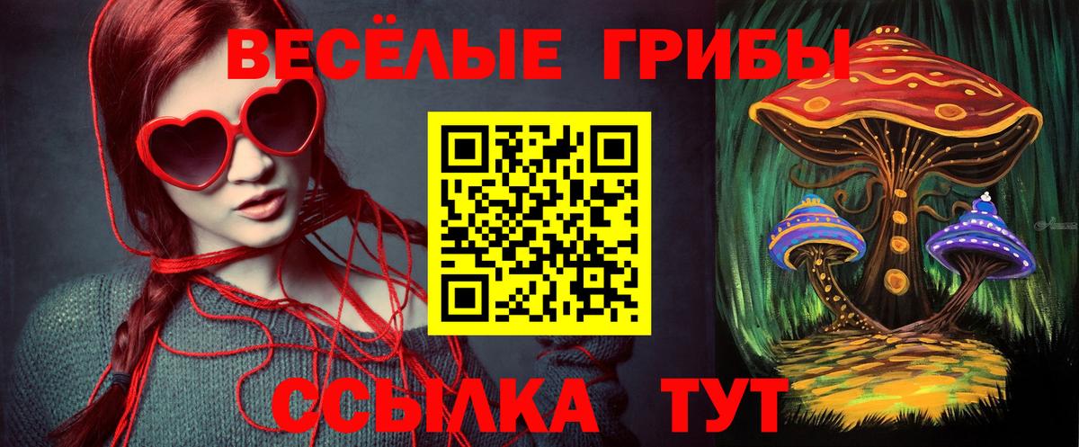 купить  сайты  Псилоцибиновые грибы Psilocybe  Вход с VPN  Бор  Псилоцибиновые грибы ЛСД 