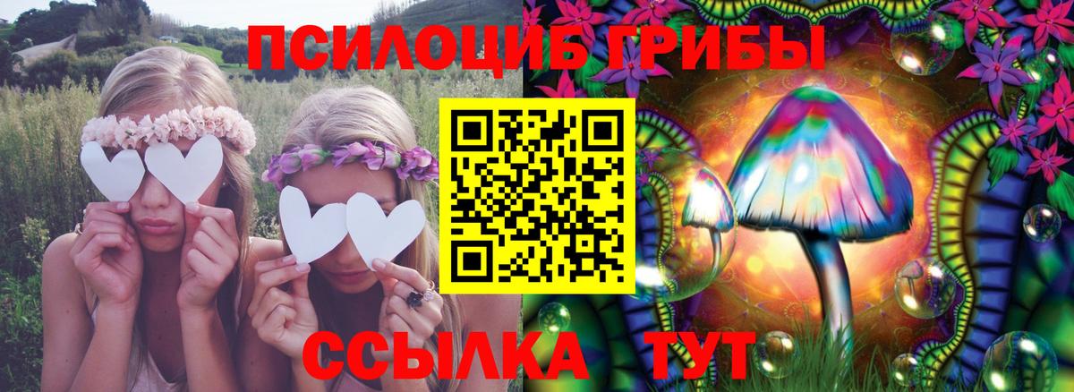 Псилоцибиновые грибы Cubensis Бор