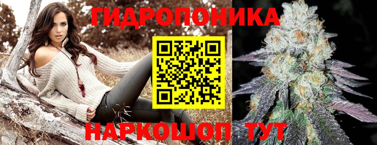 Бошки марихуана OG Kush Бор
